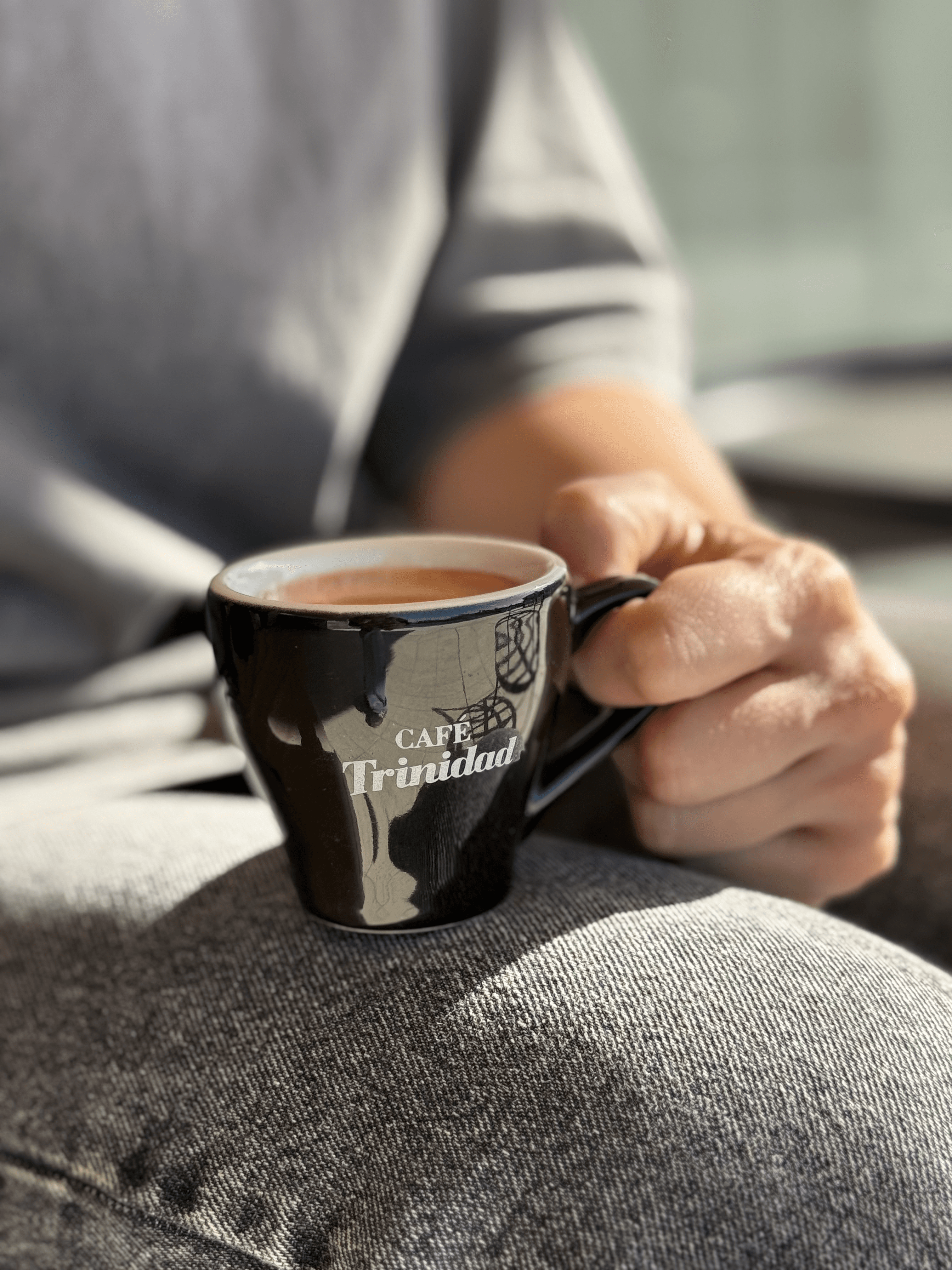 Equipos profesionales de Café Trinidad para cafeterías